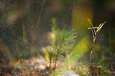 Similar image 19742220