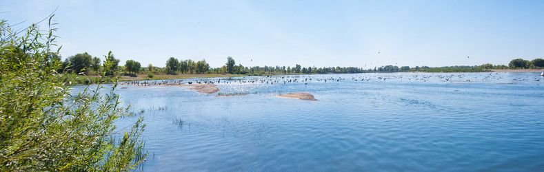 Similar image 19742259