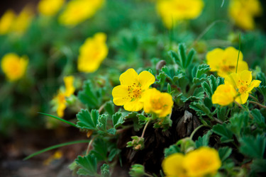 Similar image 19742221