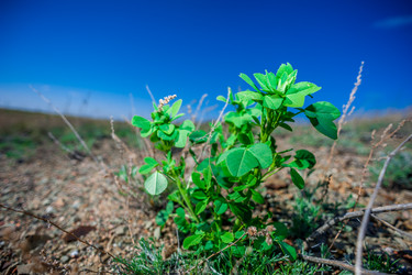 Similar image 19742224