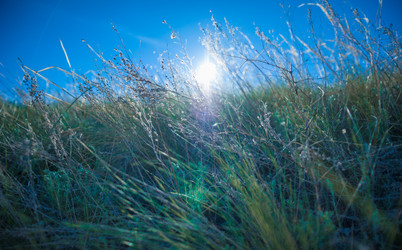 Similar image 19742225