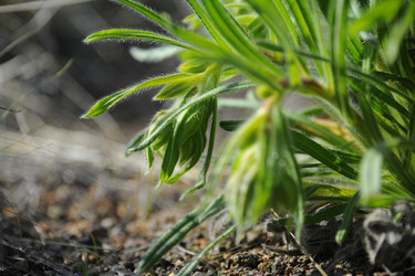 Similar image 19742229