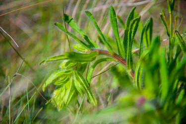 Similar image 19742232