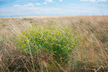 Similar image 19742234