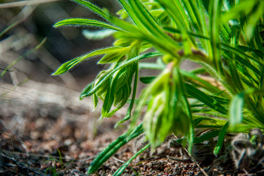 Similar image 19742237