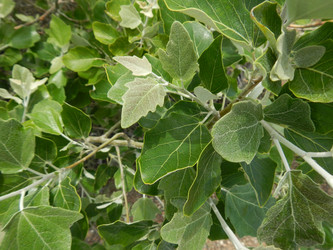 Similar image 19742238