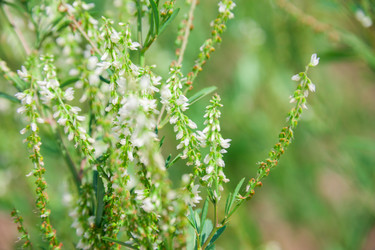 Similar image 19742239