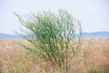 Similar image 19742242