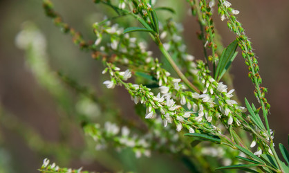 Similar image 19742244