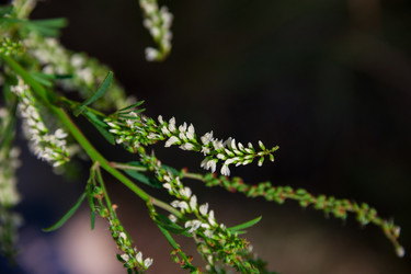 Similar image 19742247