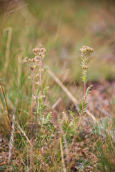 Similar image 19742248