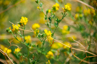 Similar image 19742264