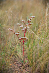 Similar image 19742266