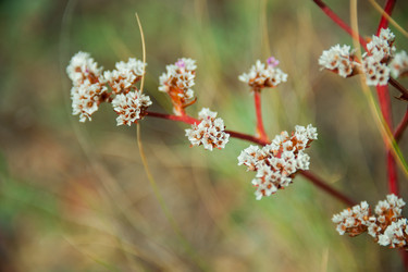 Similar image 19742260