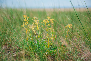 Similar image 19742261