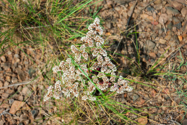 Similar image 19742262