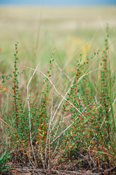 Similar image 19742265