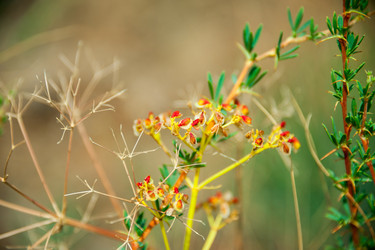 Similar image 19582664