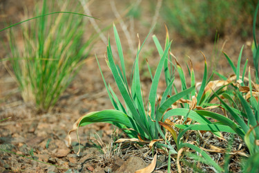 Similar image 19582666