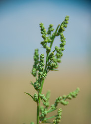 Similar image 19582668