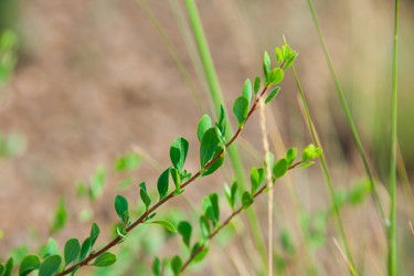 Similar image 19582670