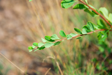 Similar image 19582672