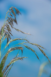 Similar image 19582676