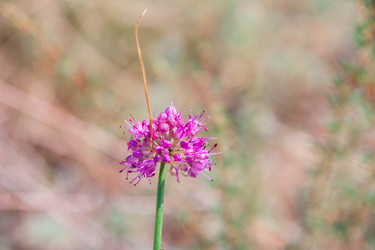 Similar image 19582678