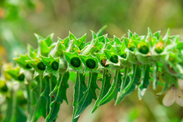 Similar image 19582681