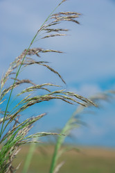 Similar image 19582683