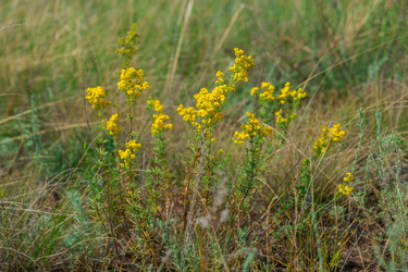 Similar image 19582685