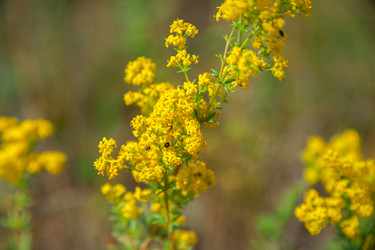 Similar image 19582687