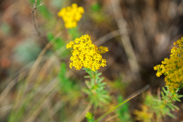 Similar image 19582688