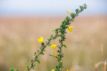 Similar image 19582689