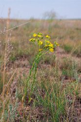 Similar image 19582690