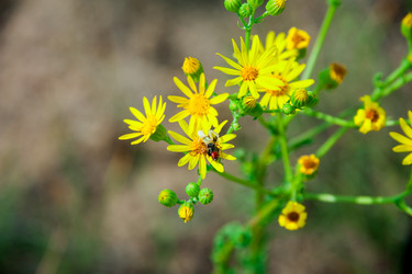 Similar image 19582665