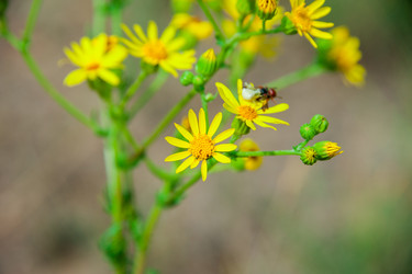 Similar image 19582667