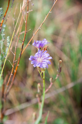 Similar image 19582669