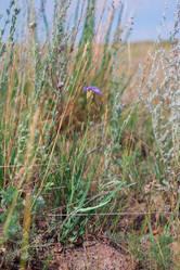 Similar image 19582671