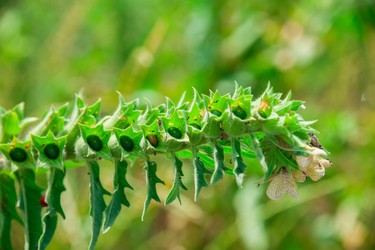 Similar image 19582675