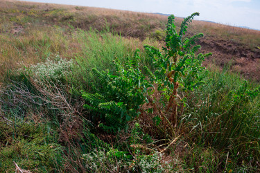 Similar image 19582677