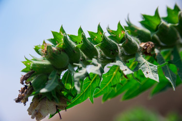 Similar image 19582679