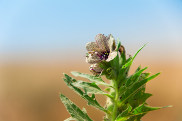 Similar image 19582680