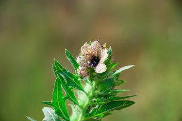 Similar image 19582682