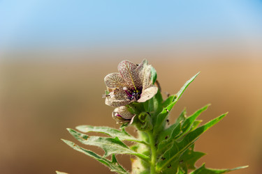 Similar image 19582684