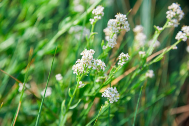 Similar image 19582686