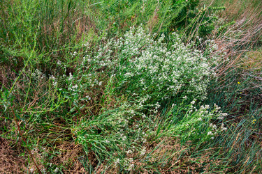 Similar image 19582691