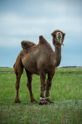 Similar image 19742268