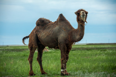 Similar image 19742285