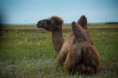 Similar image 19742287